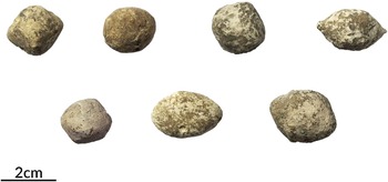 Figure 7