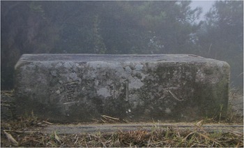 Figure 8