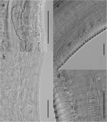 Figure 16