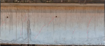 Figure 20
