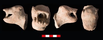 Figure 26