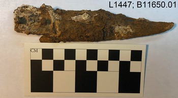 Figure 8