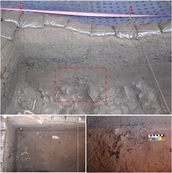 Figure 6