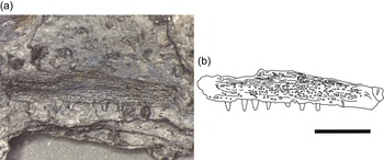 Figure 7