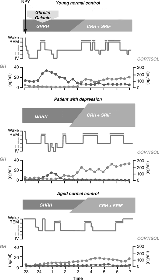 Growth Hormone And Sleep