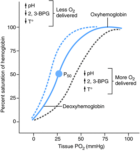 Effects of CO poisoning on hemoglobin-oxygen dissociation curve. In
