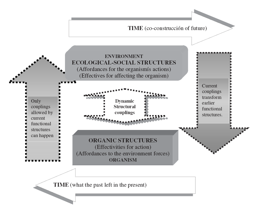 From orientation to meaning Part III The Cambridge Handbook of