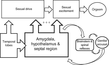 Neurological control of pelvic organ functions (Section 1 ...