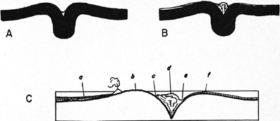 Harry Hess Develops Seafloor Spreading Chapter 3 The