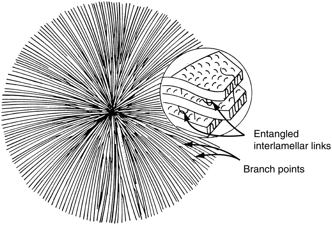 Structure Of Solid Polymers Chapter 2 The Physics Of Deformation And Fracture Of Polymers