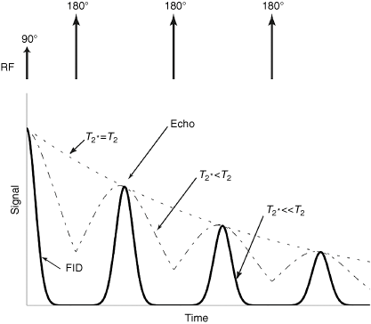 Nuclear Magnetic Resonance Chapter 3 Introduction To Functional Magnetic Resonance Imaging