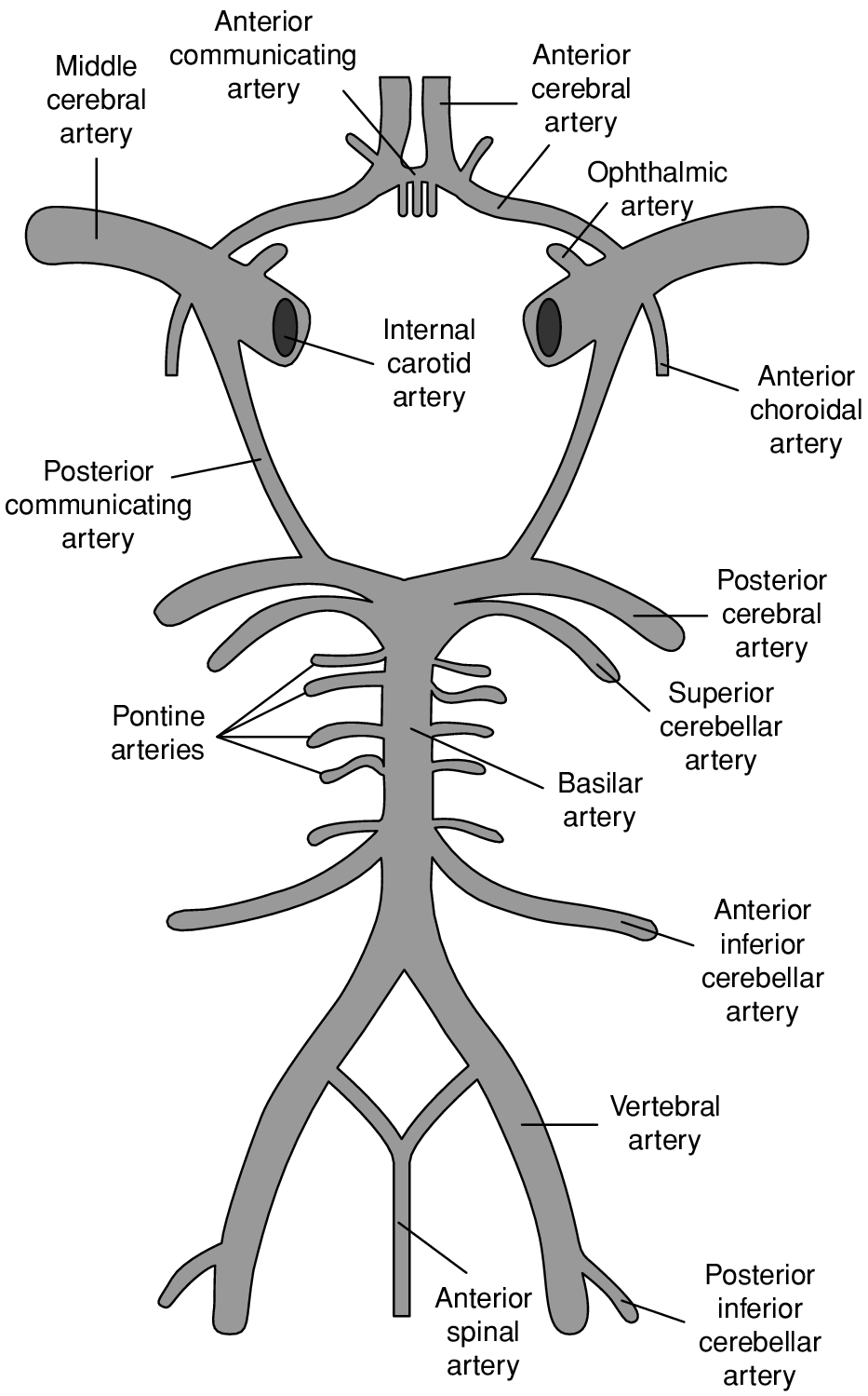 Vertigo (Chapter 76) - Neurologic Differential Diagnosis