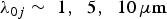 ${\rm \lambda} _{0j} \sim\, \, 1\comma \; \, \, 5\comma \; \, \, 10\, {\rm \mu m} $