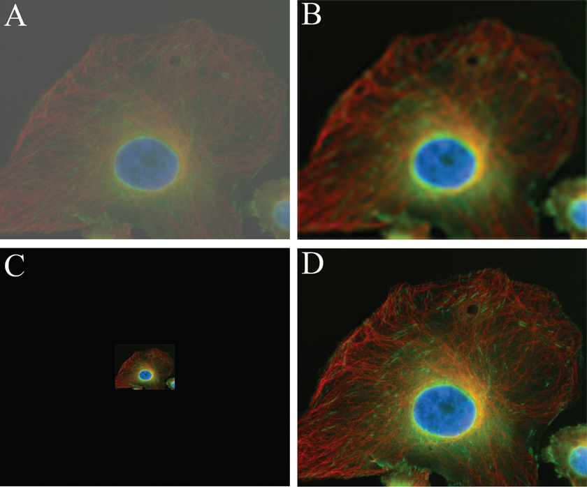 Fluorescence Microscopy Light Sources Microscopy Today Cambridge Core