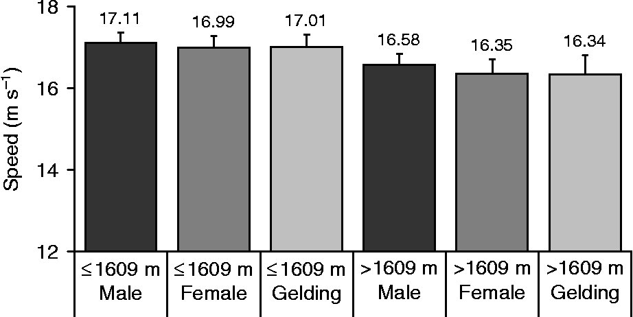 are male or female greyhounds faster