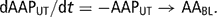 \[ {\rm{dAAP}}_{{{\rm{UT}}}} /{\rm{d}}t = - {\rm{AAP}}_{{{\rm{UT}}}} \rightarrow {\rm{AA}}_{{{\rm{BL}}}} . \]