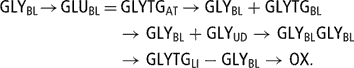 \[ \displaylines{ {\rm{GLY}}_{{{\rm{BL}}}} \kern-2pt \rightarrow \kern-2pt {\rm{GLU}}_{{{\rm{BL}}}} \kern-1pt = \kern-1pt &amp; {\rm{GLYTG}}_{{{\rm{AT}}}} \kern-1pt \rightarrow \kern-1pt {\rm{GLY}}_{{{\rm{BL}}}} + {\rm{GLYTG}}_{{{\rm{BL}}}} \cr &amp; \kern-2pt \rightarrow {\rm{GLY}}_{{{\rm{BL}}}} + {\rm{GLY}}_{{{\rm{UD}}}} \rightarrow {\rm{GLY}}_{{{\rm{BL}}}} {\rm{GLY}}_{{{\rm{BL}}}} \cr &amp; \kern-2pt \rightarrow {\rm{GLYTG}}_{{{\rm{LI}}}} - {\rm{GLY}}_{{{\rm{BL}}}} \rightarrow {\rm{OX}}{\rm{.}} \cr} \]