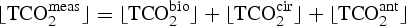 $$\lfloor \hbox{TCO}_{2}^{\rm meas}\rfloor = \lfloor \hbox{TCO}_{2}^{\rm bio}\rfloor + \lfloor \hbox{TCO}_{2}^{\rm cir}\rfloor + \lfloor \hbox{TCO}_{2}^{\rm ant}\rfloor$$