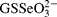 GSSeO _{3}^{2 - }