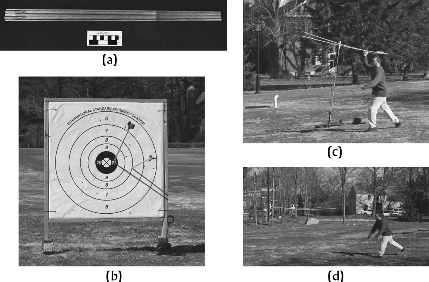 POWER MATERIALIZED THE DARTTHROWER AS A PANMESOAMERICAN STATUS