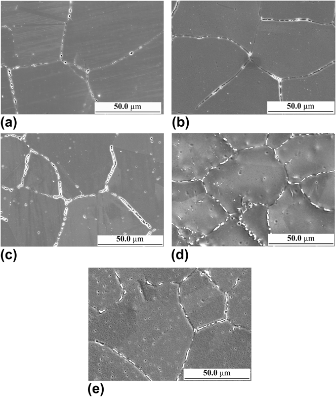 Influence Of Heat Treatment On The Microstructure And Corrosion ...