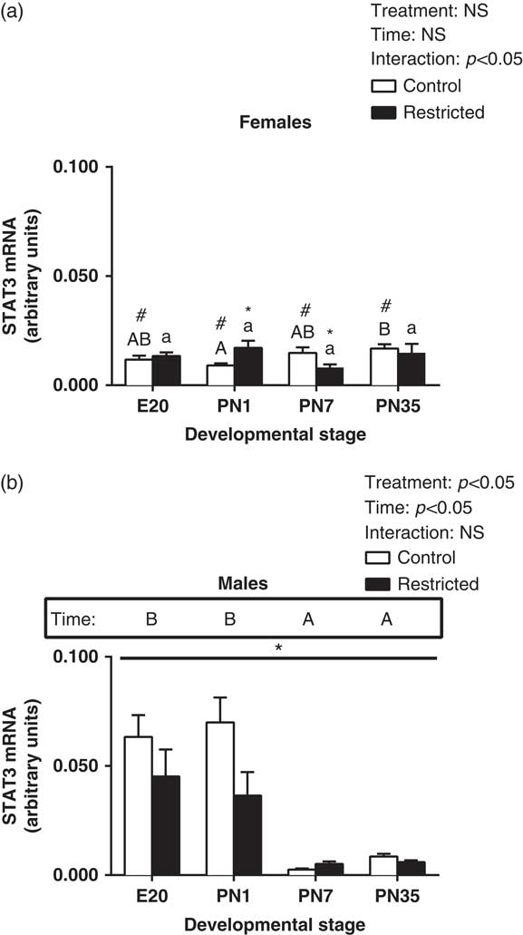 Growth Restriction In The Rat Alters Expression Of Cardiac Jak Stat