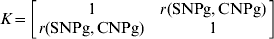 K \equals \left[ {\matrix{ 1 \tab {r\lpar {\rm SNPg}\comma {\rm CNPg}\rpar } \cr {r\lpar {\rm SNPg}\comma {\rm CNPg}\rpar } \tab 1 \cr} } \right]