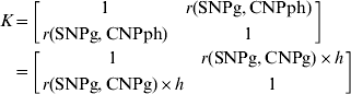 \eqalign{ K \equals \tab \left[ {\matrix{ 1 \tab {r\lpar {\rm SNPg}\comma {\rm CNPph}\rpar } \cr {r\lpar {\rm SNPg}\comma {\rm CNPph}\rpar } \tab 1 \cr} } \right] \cr \equals  \tab\left[ {\matrix{ 1 \tab {r\lpar {\rm SNPg}\comma {\rm CNPg}\rpar \times h} \cr {r\lpar {\rm SNPg}\comma {\rm CNPg}\rpar \times h} \tab 1 \cr} } \right] \cr}