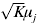 \sqrt K \mu _{j}