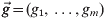 \vec{g} \equals \lpar g_{\setnum{1}} \comma \ldots \comma g_{m} \rpar