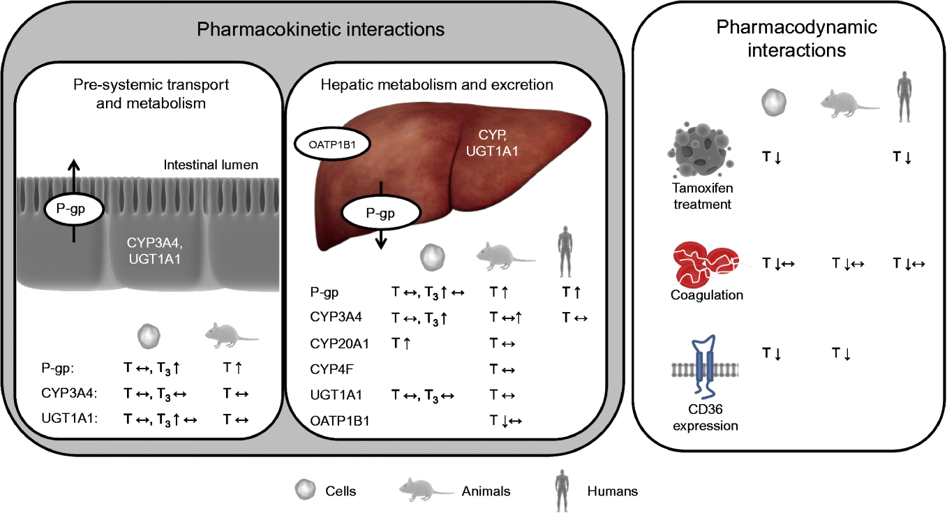 Vitamin Edrug interactions molecular basis and clinical relevance