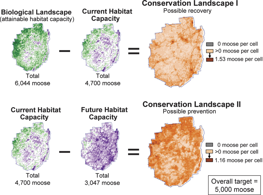 The Landscape Species Approach: spatially-explicit conservation