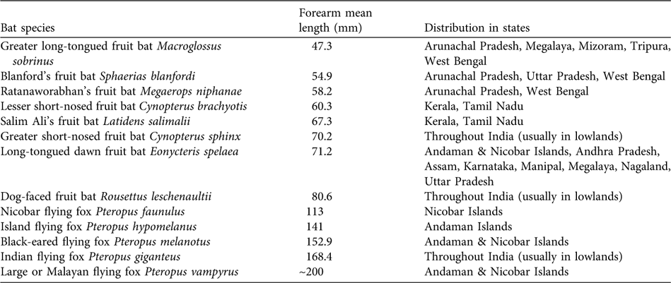 Do fruit bats deserve to be listed as vermin in the Indian Wildlife ...