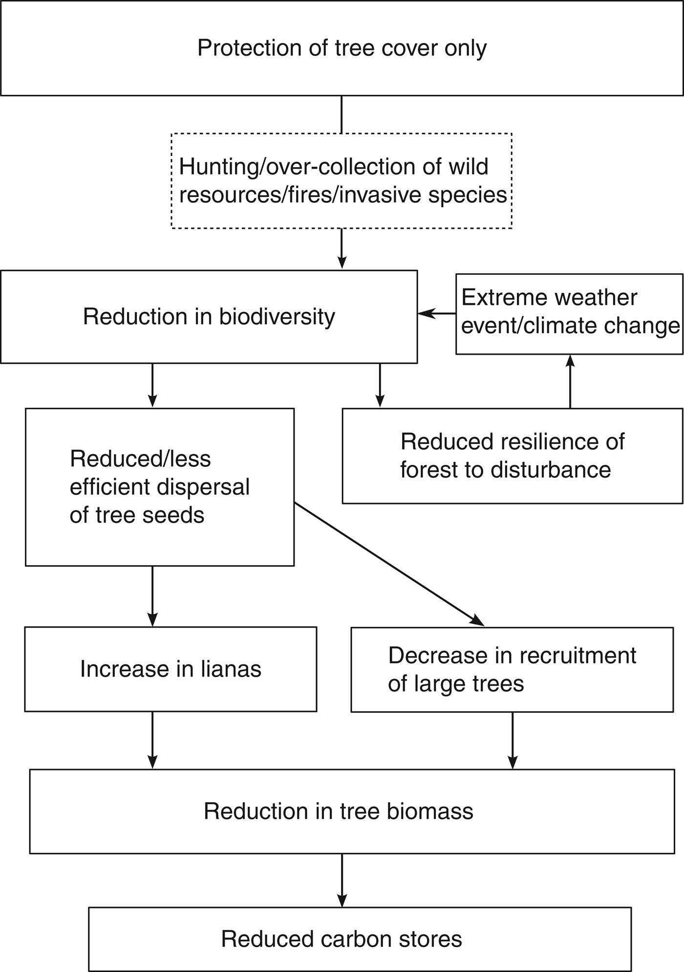 Does the long term success of REDD also depend on biodiversity