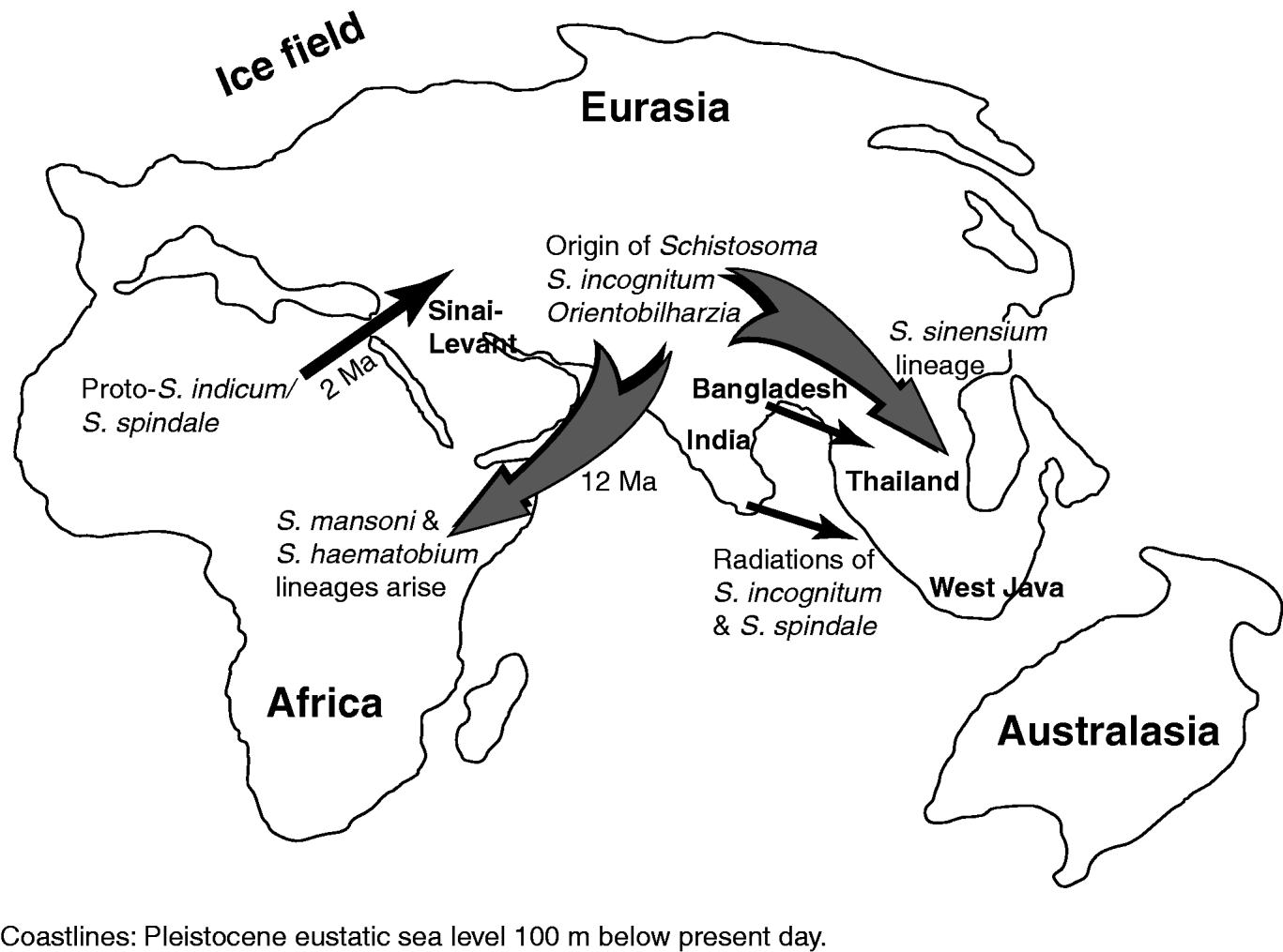 A Dna Sequence Based Study Of The Schistosoma Indicum Trematoda Digenea Group Population Phylogeny Taxonomy And Historical Biogeography Parasitology Cambridge Core