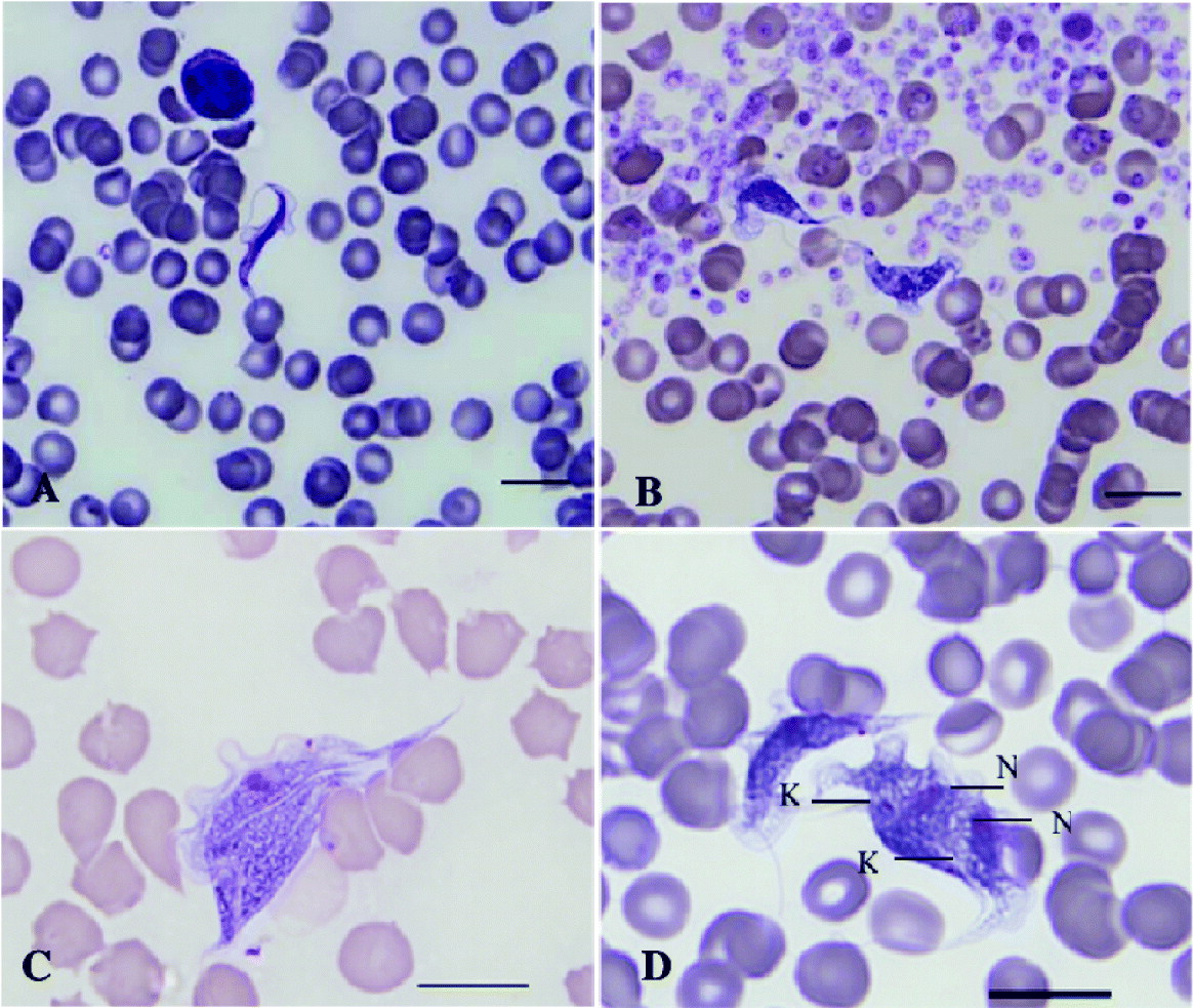 in cold blood binary