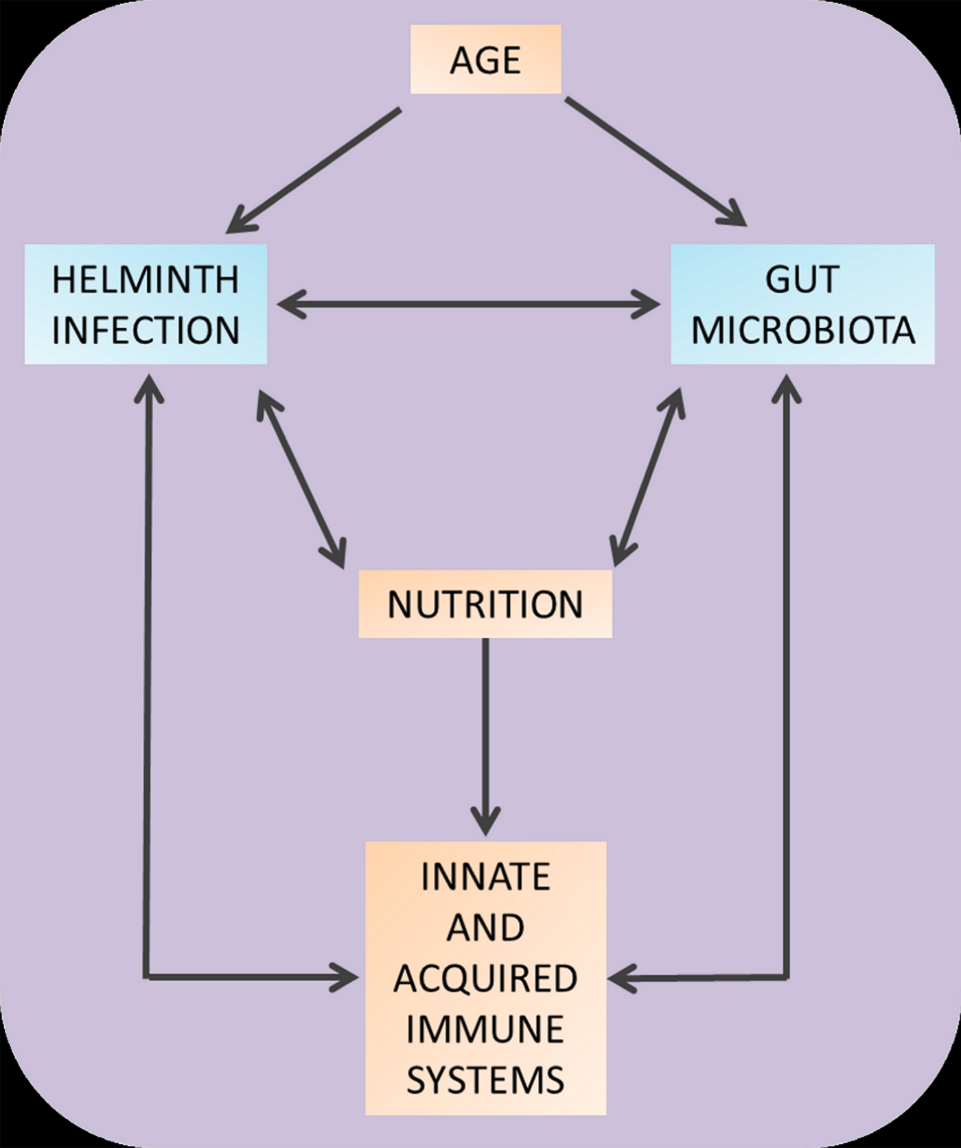 helminth infection and microbiota)
