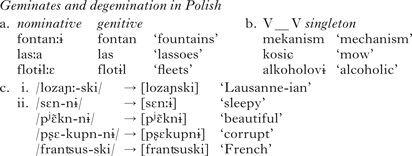 Lenition, perception and neutralisation* | Phonology | Cambridge Core