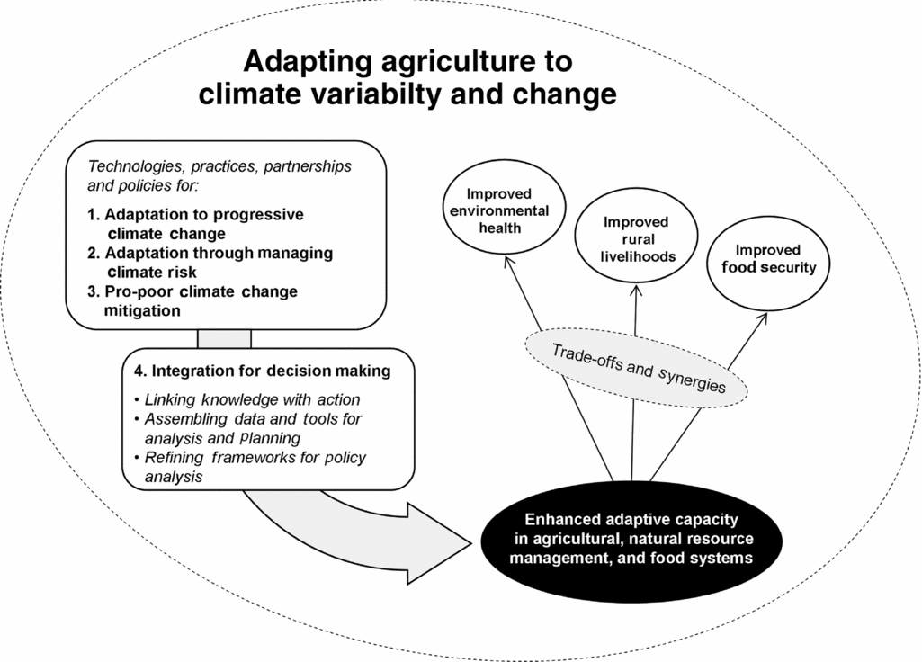 AN INTEGRATED ADAPTATION AND MITIGATION FRAMEWORK FOR DEVELOPING