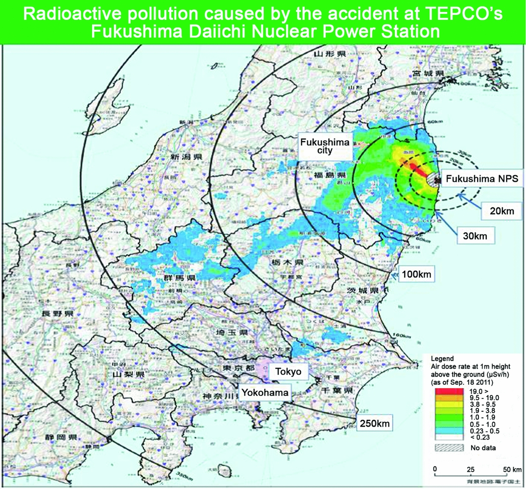 Year 5 at Fukushima: a ‘disaster-led’ archaeology of the contemporary ...