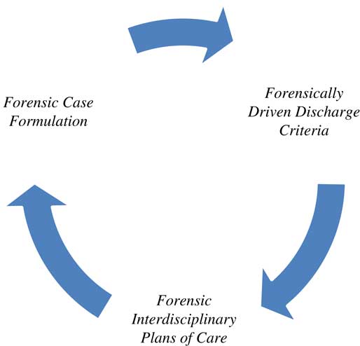 Forensic focused treatment planning: a new standard for forensic mental ...
