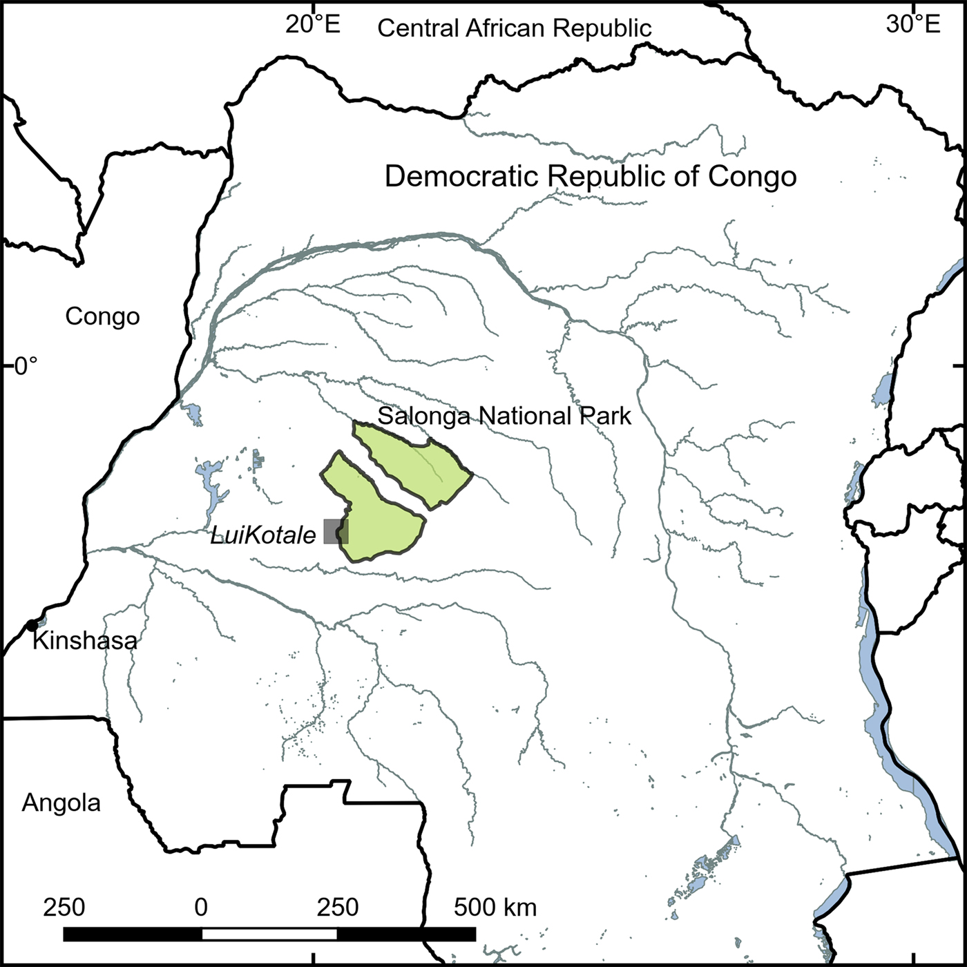 PDF) The Ecological Role of the Bonobo. Seed dispersal service in Congo  forests