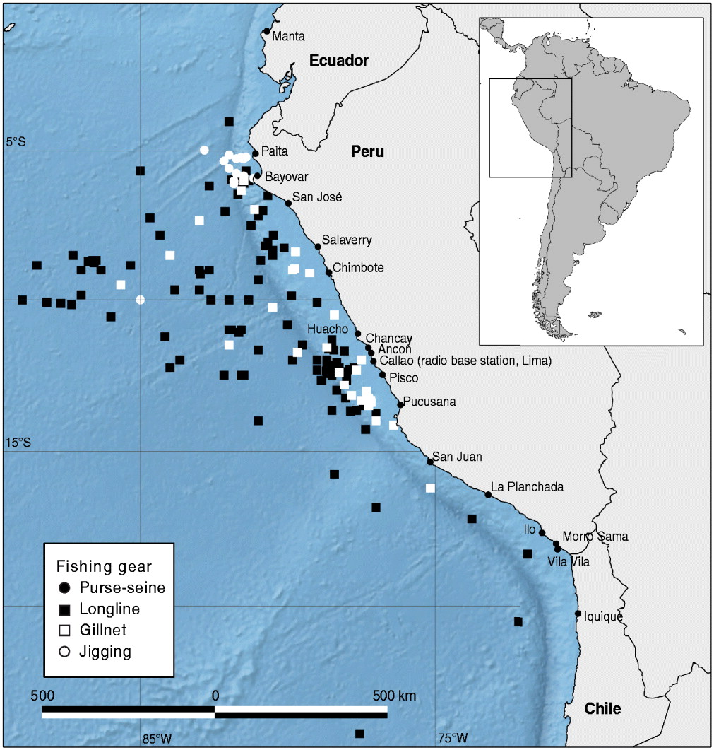 Impacts of fisheries bycatch on marine turtle populations worldwide: toward  conservation and research priorities - Wallace - 2013 - Ecosphere - Wiley  Online Library