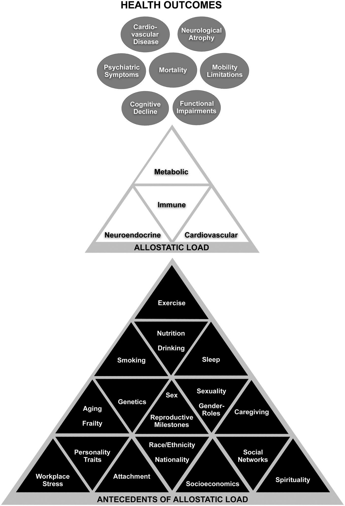 Allostatic load and comorbidities: A mitochondrial, epigenetic, and ...
