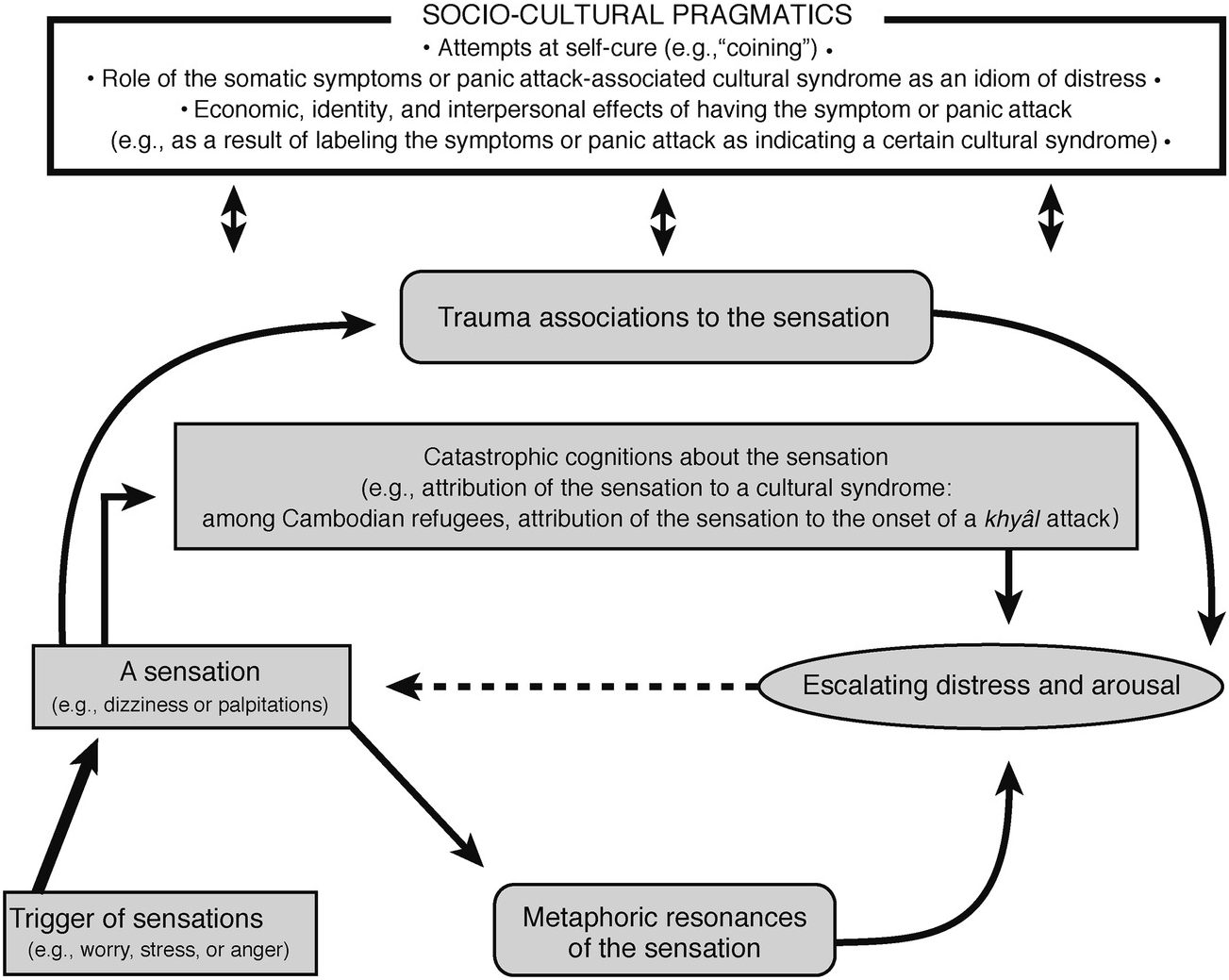 Cultural Contexts Of Psychopathology Section Three Re - 