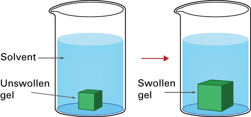 General Properties Of Polymer Networks Chapter 4 Physical Gels From Biological And Synthetic Polymers