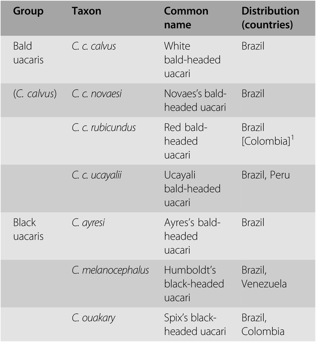 Fossil History, Zoogeography and Taxonomy of the Pitheciids (Part I) -  Evolutionary Biology and Conservation of Titis, Sakis and Uacaris