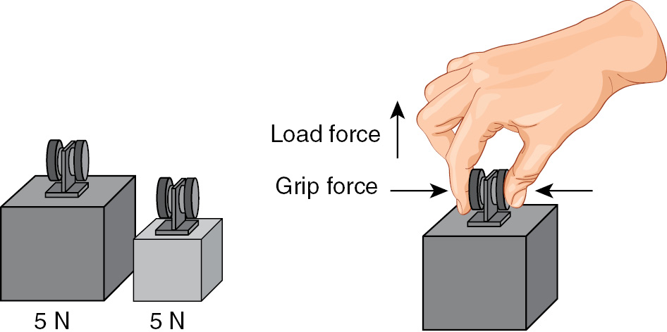 Learning And Development Part V Shared Representations