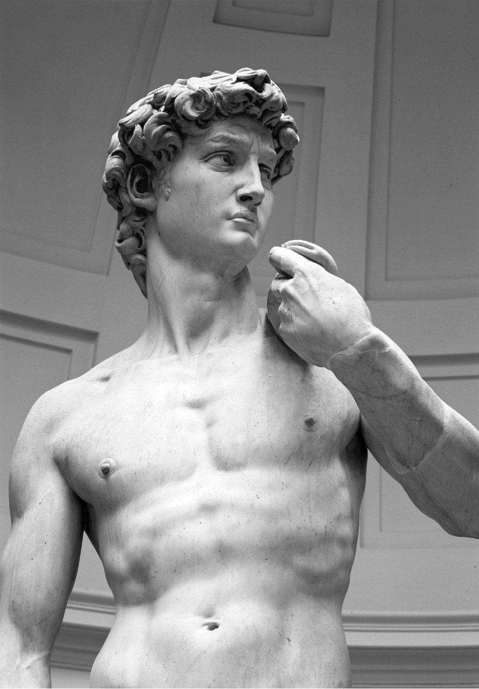 The Commission and History of the David (Chapter 1) - Michelangelo's David