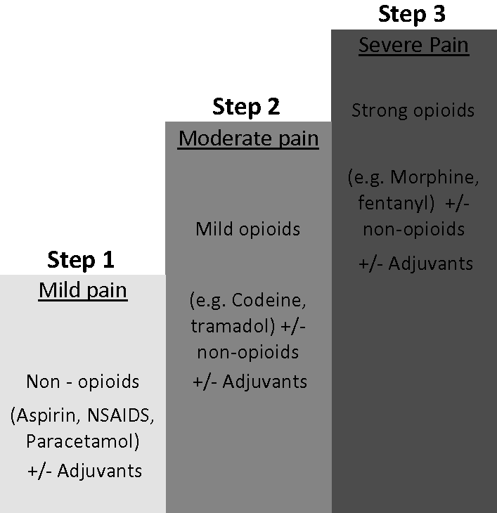 Analgesic Ladder